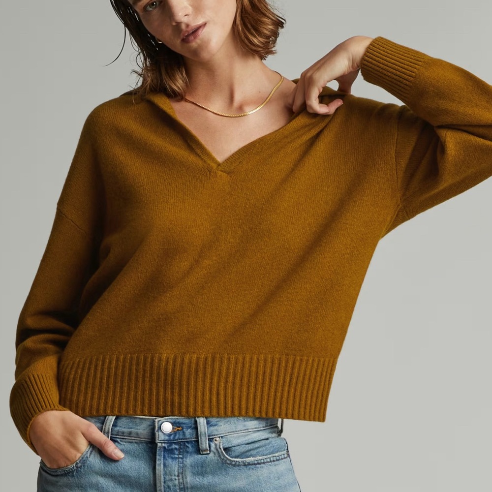 Everlane Cashmere Polo